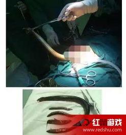 疯狂女主播用黄鳝视频,疯狂直播背后的伦理争议